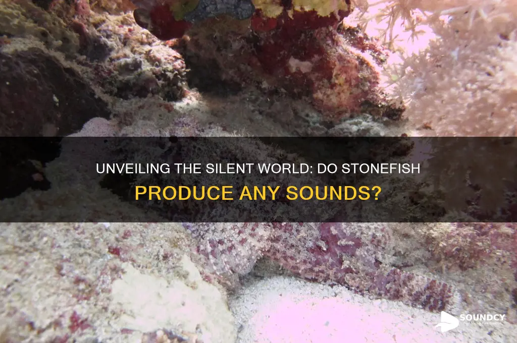 do stonefish make any sounds