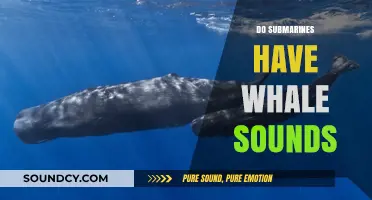 Do Submarines Mimic Whale Sounds? Unraveling the Ocean's Acoustic Mystery