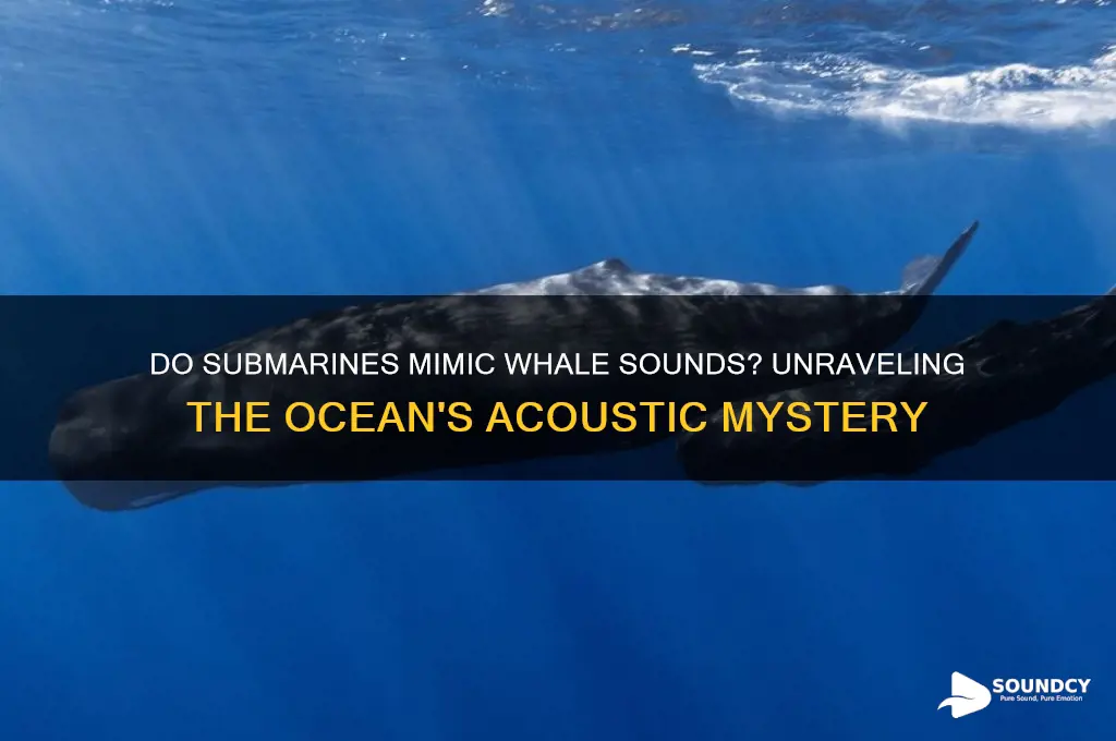 do submarines have whale sounds