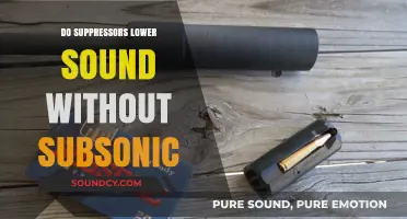 Suppressors: Quieter Shots Without Subsonic?