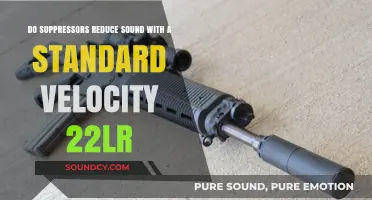 Suppressors and Standard Velocity .22LR: Debunking Sound Reduction Myths