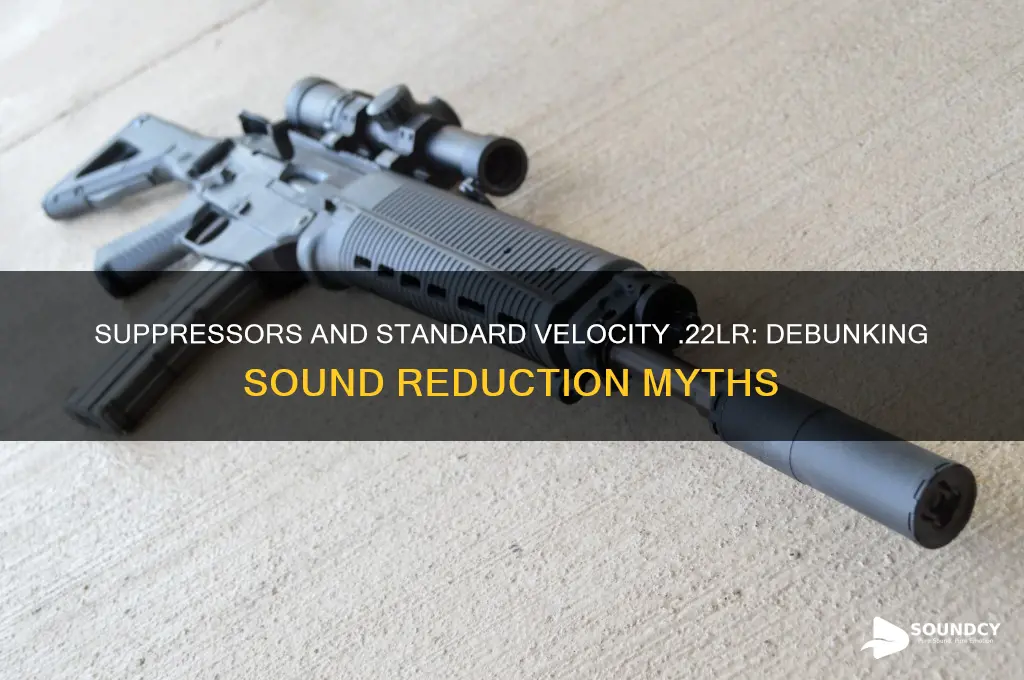 do suppressors reduce sound with a standard velocity 22lr