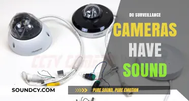 Do Surveillance Cameras Capture Audio? Unveiling the Truth About Sound