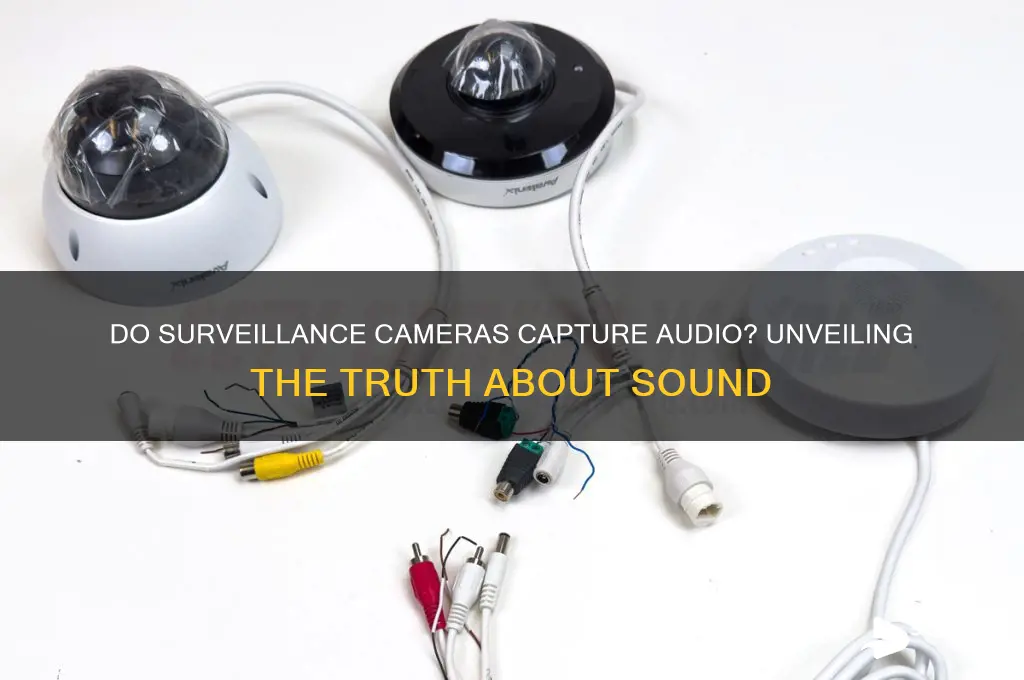 do surveillance cameras have sound