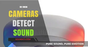 Do Swan Cameras Detect Sound? Exploring Their Audio Capabilities