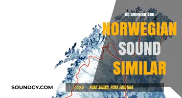 How Similar Are Swedish and Norwegian?