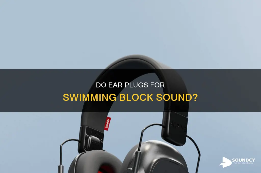 do swimming ear plugs block sound