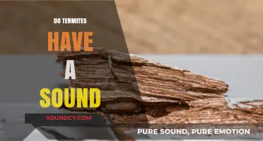 Uncovering the Truth: Do Termites Make Audible Sounds?