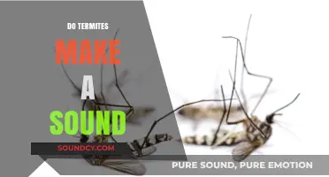 Do Termites Make Noise? Uncovering the Sounds of These Silent Pests