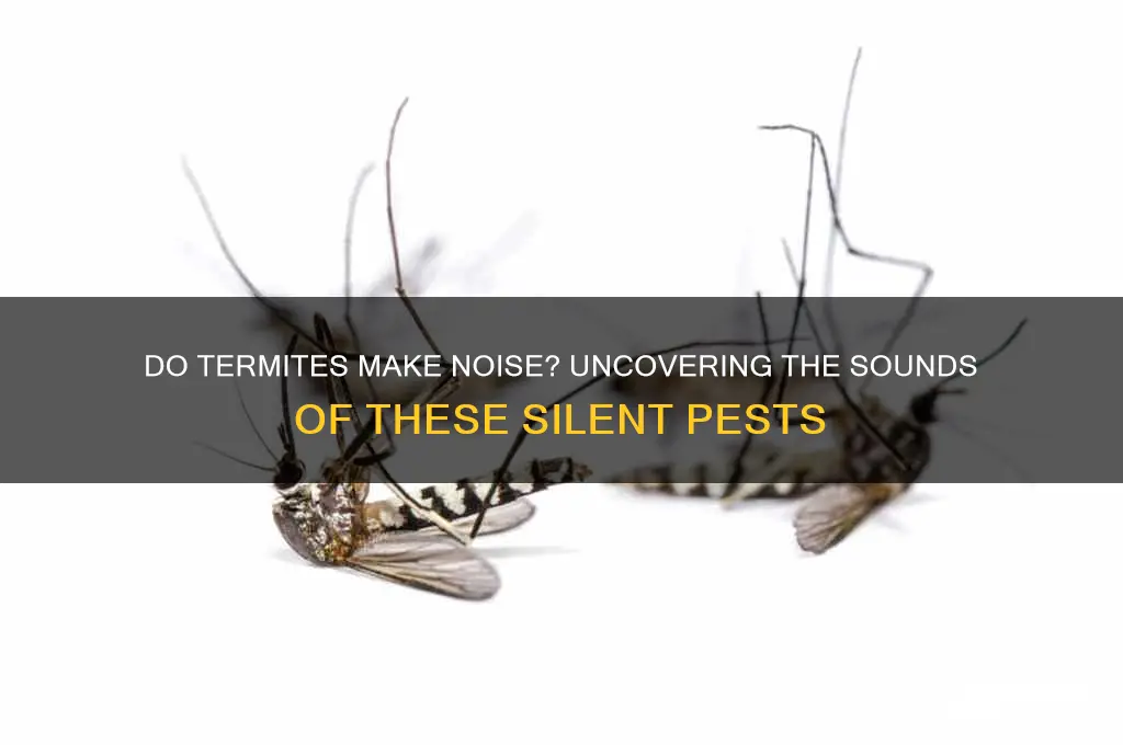 do termites make a sound