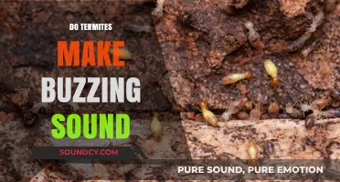 Do Termites Buzz? Uncovering the Truth About Their Noises