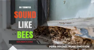 Termites vs. Bees: Unraveling the Buzzing Sounds in Your Walls