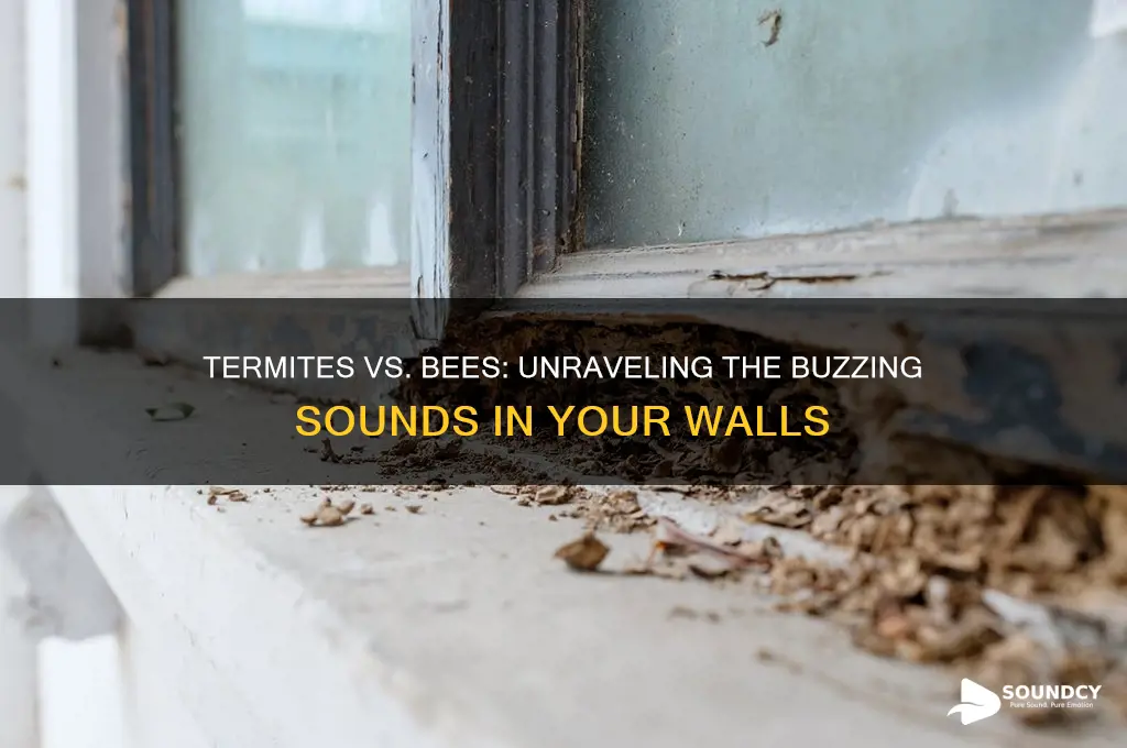 do termites sound like bees