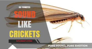 Termites vs. Crickets: Unraveling the Mystery of Their Distinct Sounds