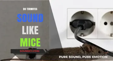 Termites vs. Mice: Unraveling the Mystery of Their Noises