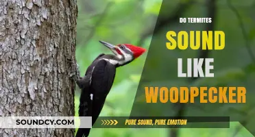 Termites vs. Woodpeckers: Unraveling the Mystery of Their Noises