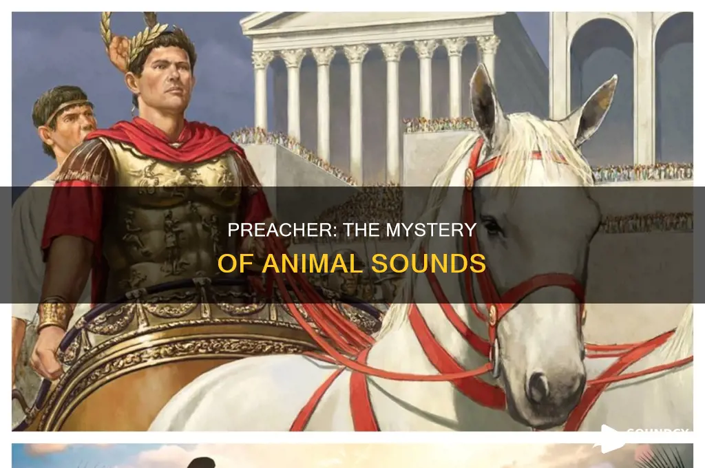 do the animal sounds in preacher