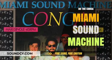 The Miami Sound Machine's 'Conga': A Cultural Anthem