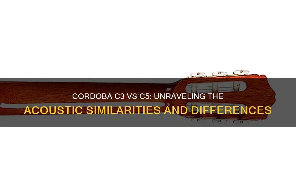 do the cordoba c3 and c5 sound the same
