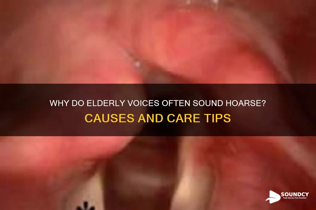 do the elderly sound hoarse
