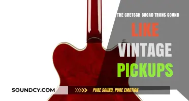 Gretsch Broad'Trons: Vintage Tone or Modern Twist?