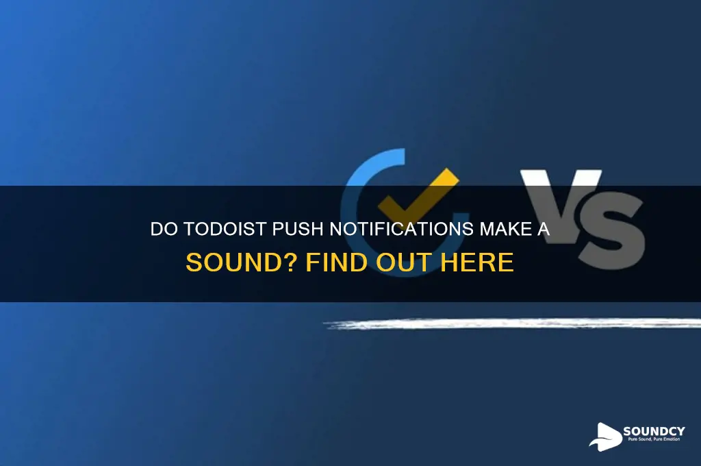do the push notifications on todoist make a sound