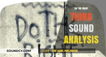 Right Thing's Sound Analysis: A Cinematic Masterpiece