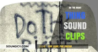 Do the Right Thing": Memorable Sound Clip