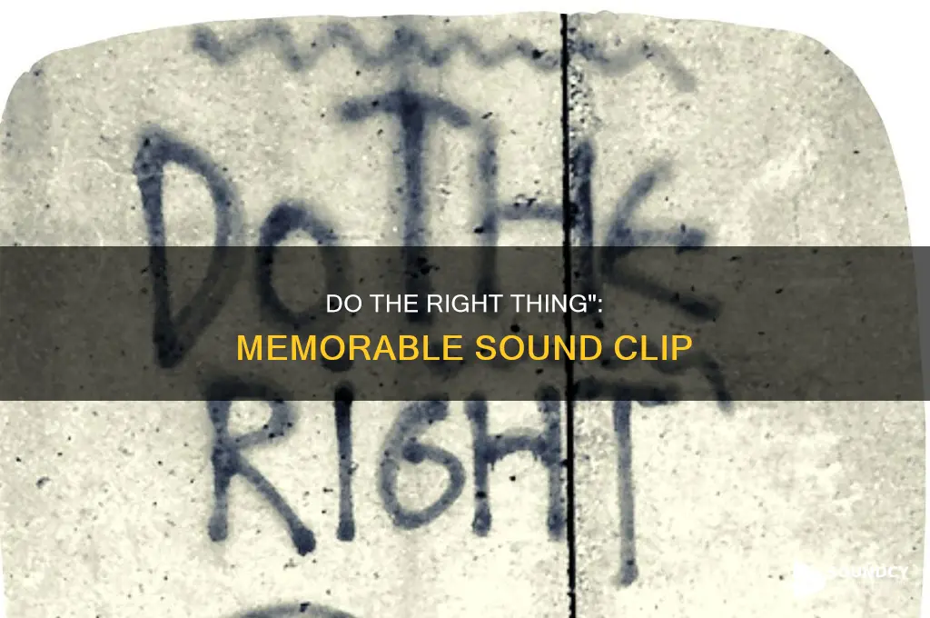 do the right thing sound clips