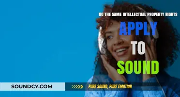 Do Sound Creations Enjoy the Same Intellectual Property Rights?