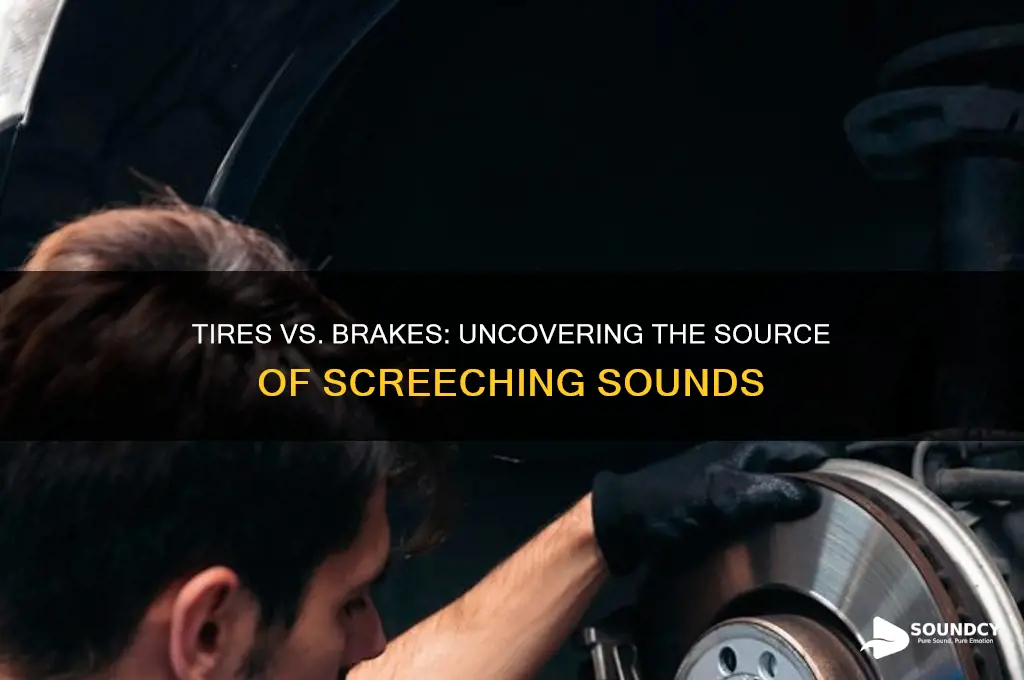 do the tires or brakes make the screeching sound