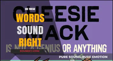 Do These Words Sound Right? A Guide to Perfecting Your Language Use