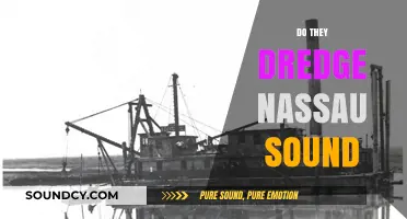 Do They Dredge Nassau Sound? Exploring Maintenance and Environmental Impact