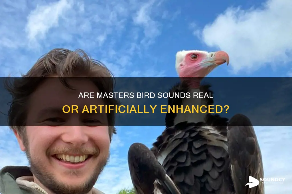 do they fake the bird sounds at the masters
