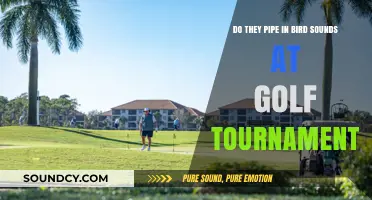Do Golf Tournaments Pipe in Bird Sounds? Uncovering the Truth