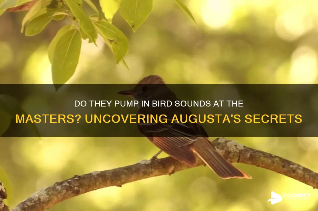 do they pump in bird sounds at the masters