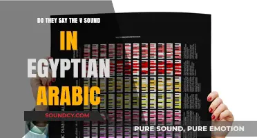 Does Egyptian Arabic Pronounce the 'V' Sound? Exploring Phonetic Nuances