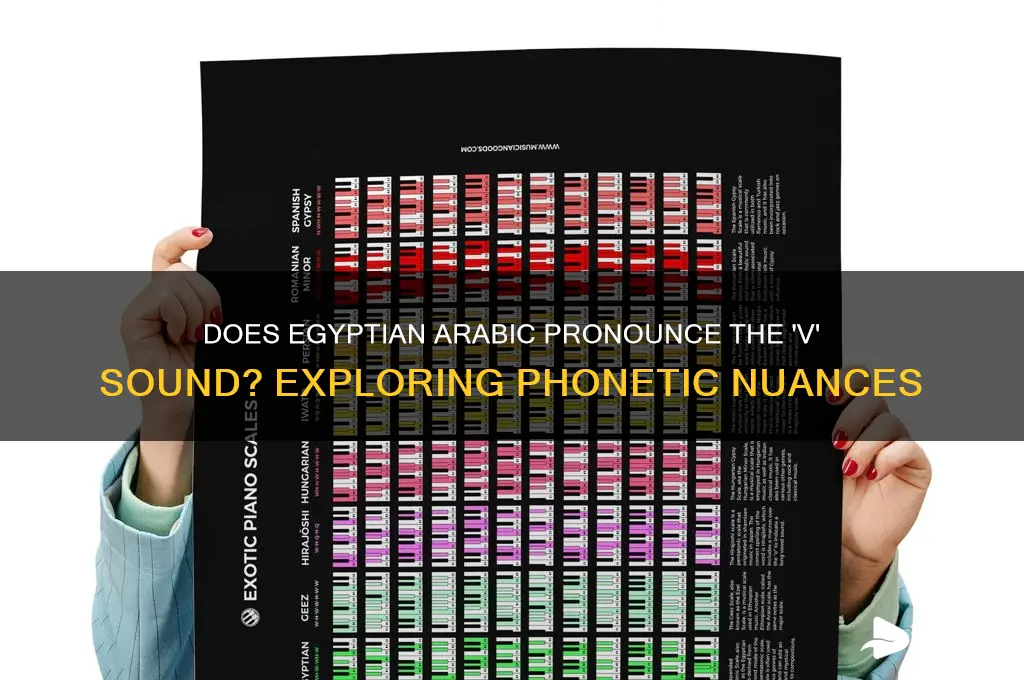 do they say the v sound in egyptian arabic