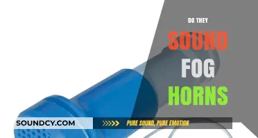 Do Fog Horns Sound Alike? Exploring Their Unique Acoustic Signatures