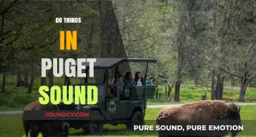Explore Puget Sound: Adventure, Nature, and Fun Activities Await You