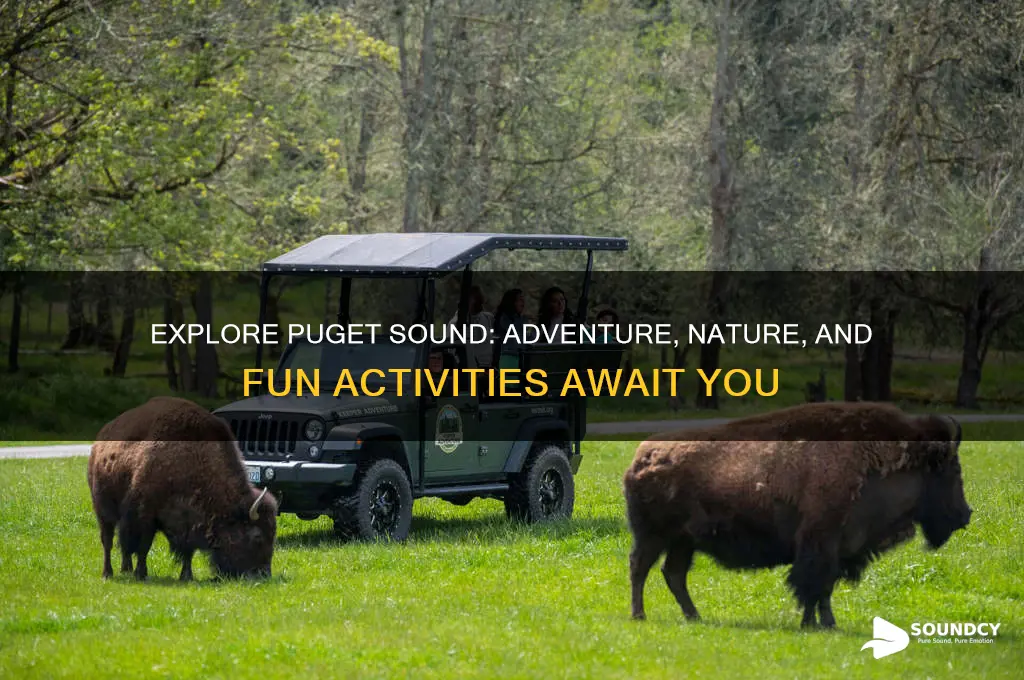do things in puget sound
