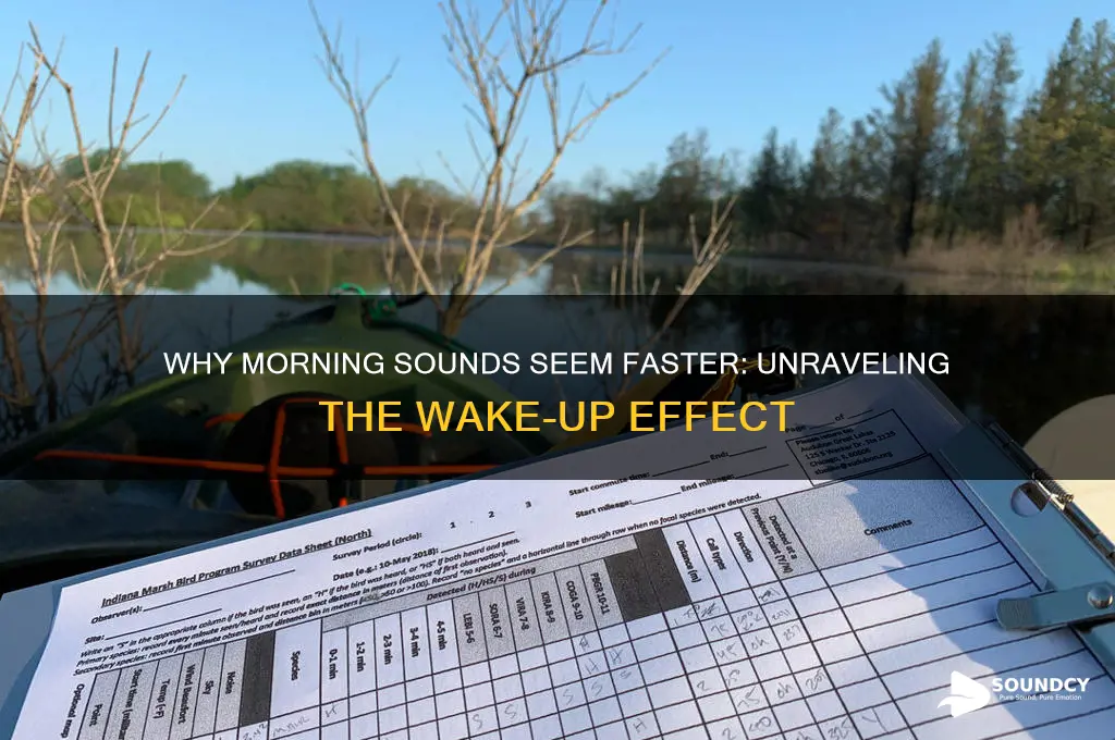 do things sound faster when you first wake up