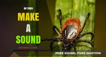 Do Ticks Make Noise? Uncovering the Silent Truth About These Pests
