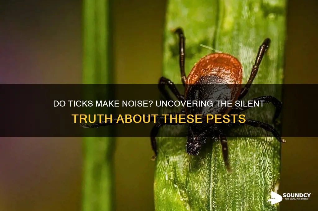 do ticks make a sound