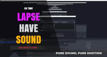 Do Time-Lapse Videos Include Audio? Exploring Sound in Accelerated Media