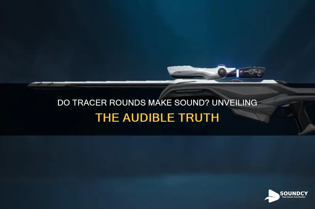do tracer rounds make sound