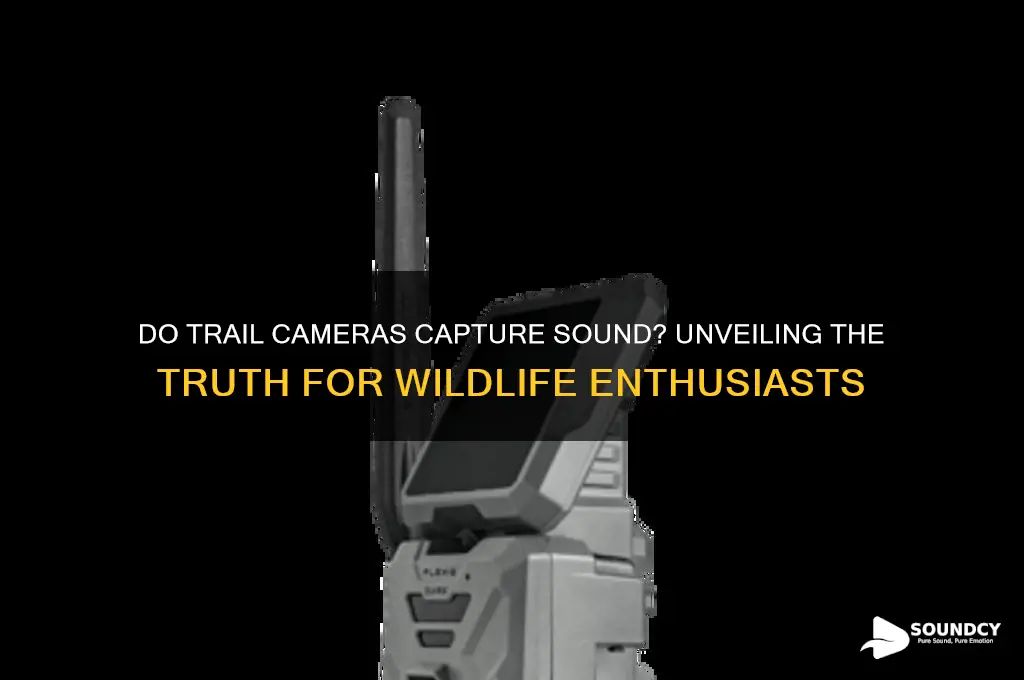 do trail cameras have sound
