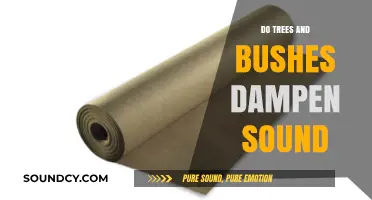 How Trees and Bushes Affect Sound Levels