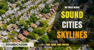 How Trees Reduce Noise Pollution in Cities