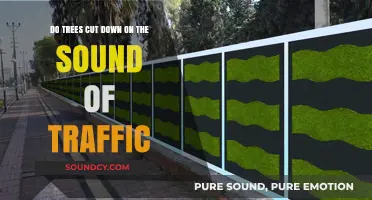 Can Trees Reduce Traffic Noise? Exploring Nature's Sound Barrier Benefits